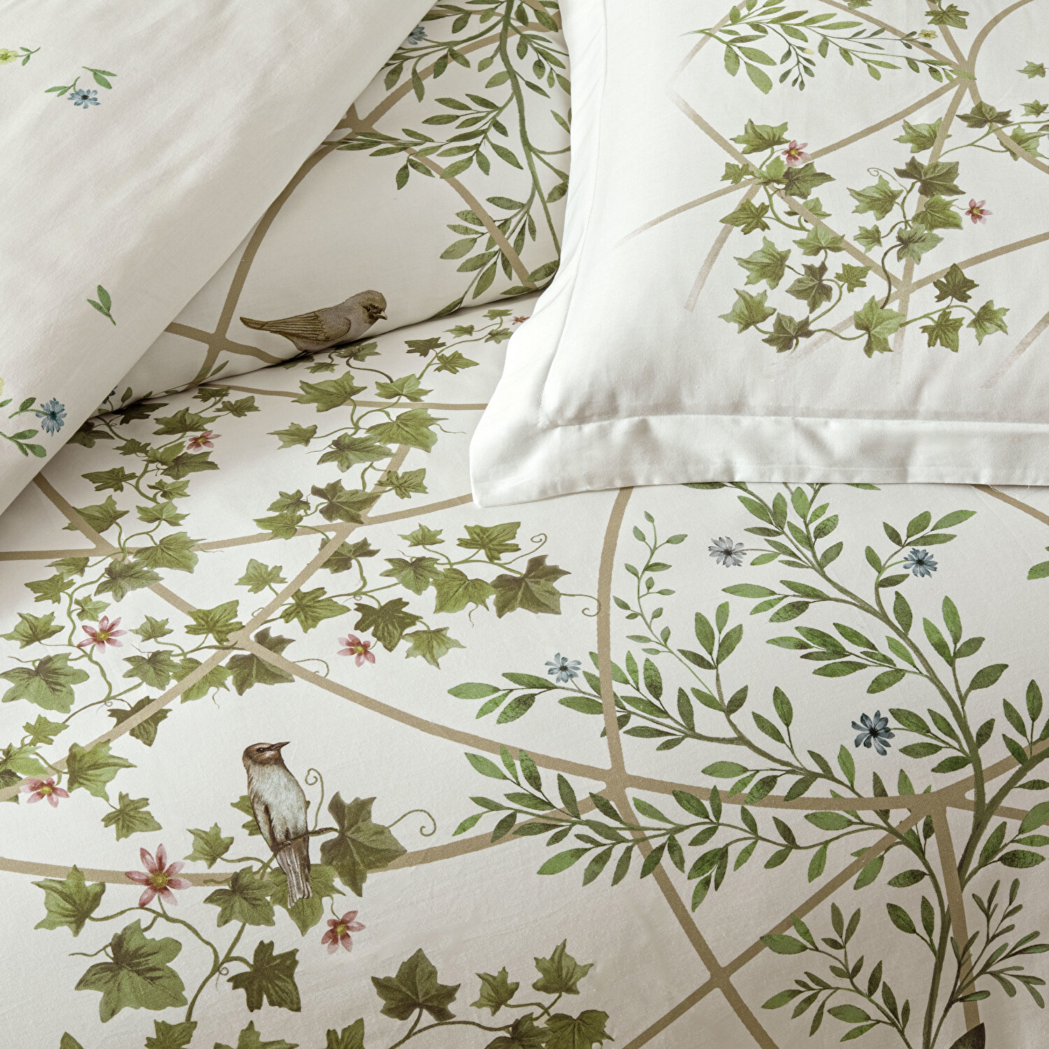 Linens Windsor Pamuk Saten Çift Kişilik Nevresim Takımı Yeşil