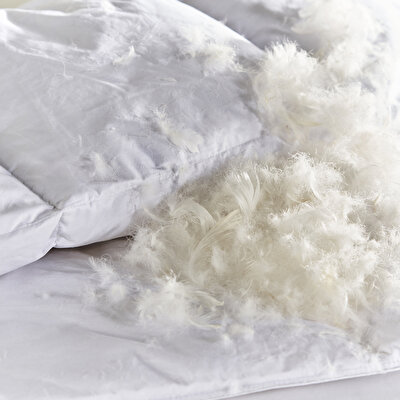 Linens Elegance Kaz Tüyü Standart Yastık